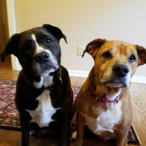 Meet your Posher, Rhonda